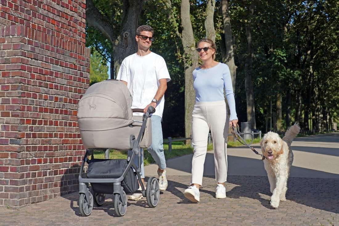 Couple enjoying a sunny park stroll with stroller and dog, embodying family leisure time.